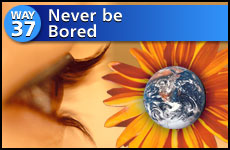 Way #37 Never Be Bored