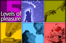 5 Levels of Pleasure