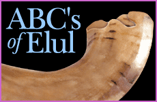 ABC's of Elul