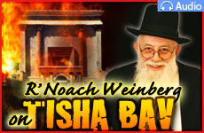 Kol hamisavel al Yerushalyim...Understanding what we lost