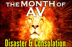 Av: Disaster and Consolation