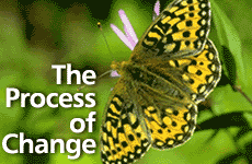 The Process of Change