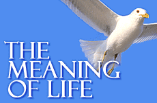 The Meaning Of Life