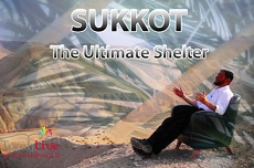 Sukkot: The Ultimate Shelter